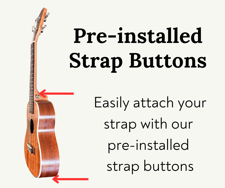 Anyone Can Uke: Beginner Ukulele Kit