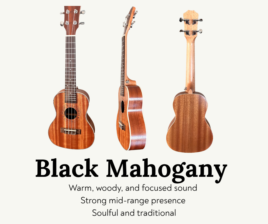 Anyone Can Uke: Beginner Ukulele Kit