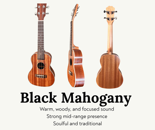 Anyone Can Uke: Beginner Ukulele Kit